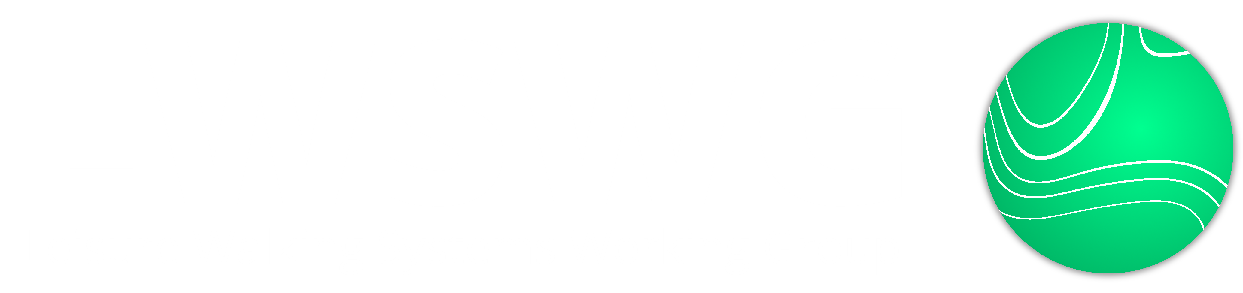 LWSWG (Leisure Walking Systems Working Group) Logo